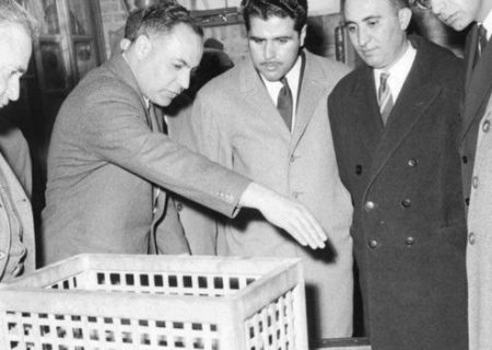 ساختمان هفده طبقه پلاسکو را نماد ورود تهران به عصر مدرن می‌دانند