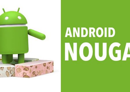 چرا نوقا مهجور ماند؟!